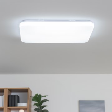 Brilagi - Luminaria de techo LED regulable SHINE LED/24W/230V diámetro 60 cm 3000/4000/6500K color crema + mando a distancia