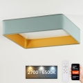 Brilagi - Luminaria de techo LED regulable VELVET SQUARE SMART LED/36W/230V 60x60 cm 2700-6500K Wi-Fi Tuya + control remoto verde menta