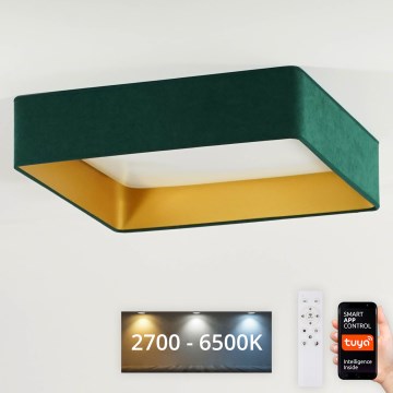 Brilagi - Luminaria de techo LED regulable VELVET SQUARE SMART LED/36W/230V 60x60 cm 2700-6500K Wi-Fi Tuya + mando a distancia, color verde