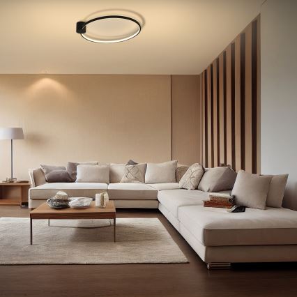 Brilagi - Luminaria de techo LED RINGO LED/18W/230V Ø 50 cm