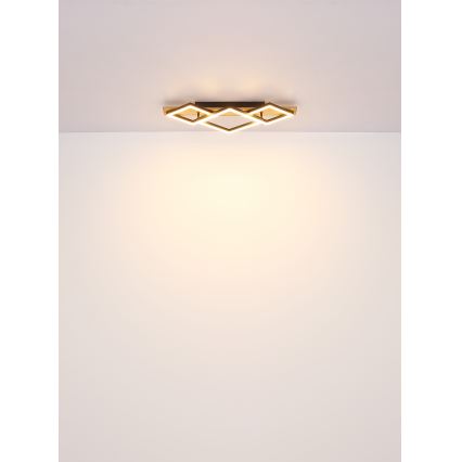 Brilagi - Luminaria LED de techo AXIS I LED/24W/230V