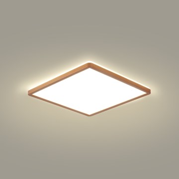 Brilagi - Luminaria LED de techo para baño ULTRA SLIM, 18W, 230V, 30x30 cm, oro rosa, IP54