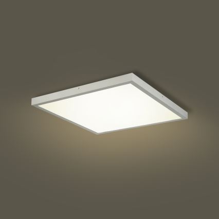 Brilagi - Luminaria de techo LED para baño FRAME LED/50W/230V 3000/4000/6000K 60x60 cm IP44 plateada