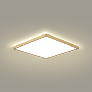 Brilagi - Luminaria LED para baño ULTRA SLIM LED/24W/230V 42x42 cm dorada IP54