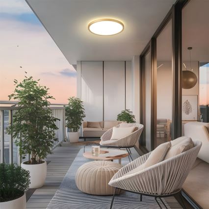 Brilagi - Luminaria LED de techo para baño ULTRA SLIM, 24W/230V, Ø 42 cm, dorada, IP54