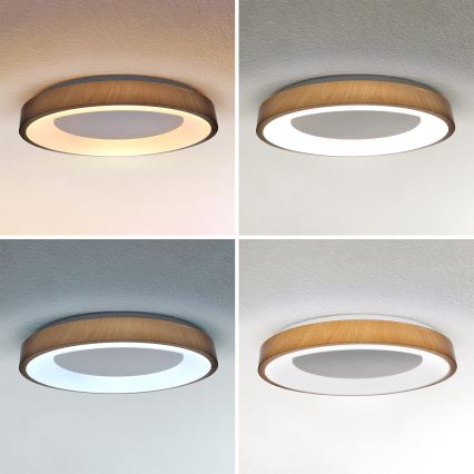 Brilagi - Plafón LED regulable DORIA LED/60W/230V 3000–6500K Ø 60 cm + mando a distancia