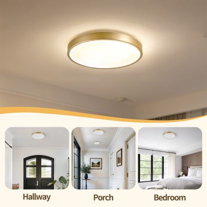 Brilagi - Lámpara de techo LED regulable GLASS POOL DOUBLE LED/48W/230V 3000-6000K 40 cm dorada + mando a distancia