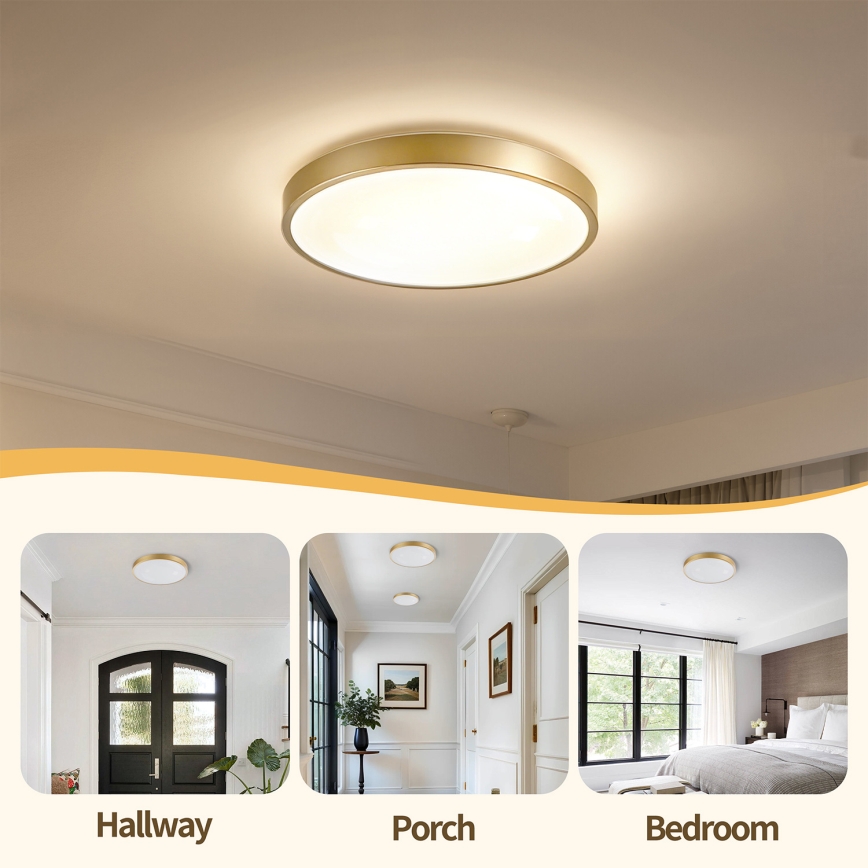 Brilagi - Lámpara de techo LED regulable GLASS POOL DOUBLE LED/48W/230V 3000-6000K 40 cm dorada + mando a distancia