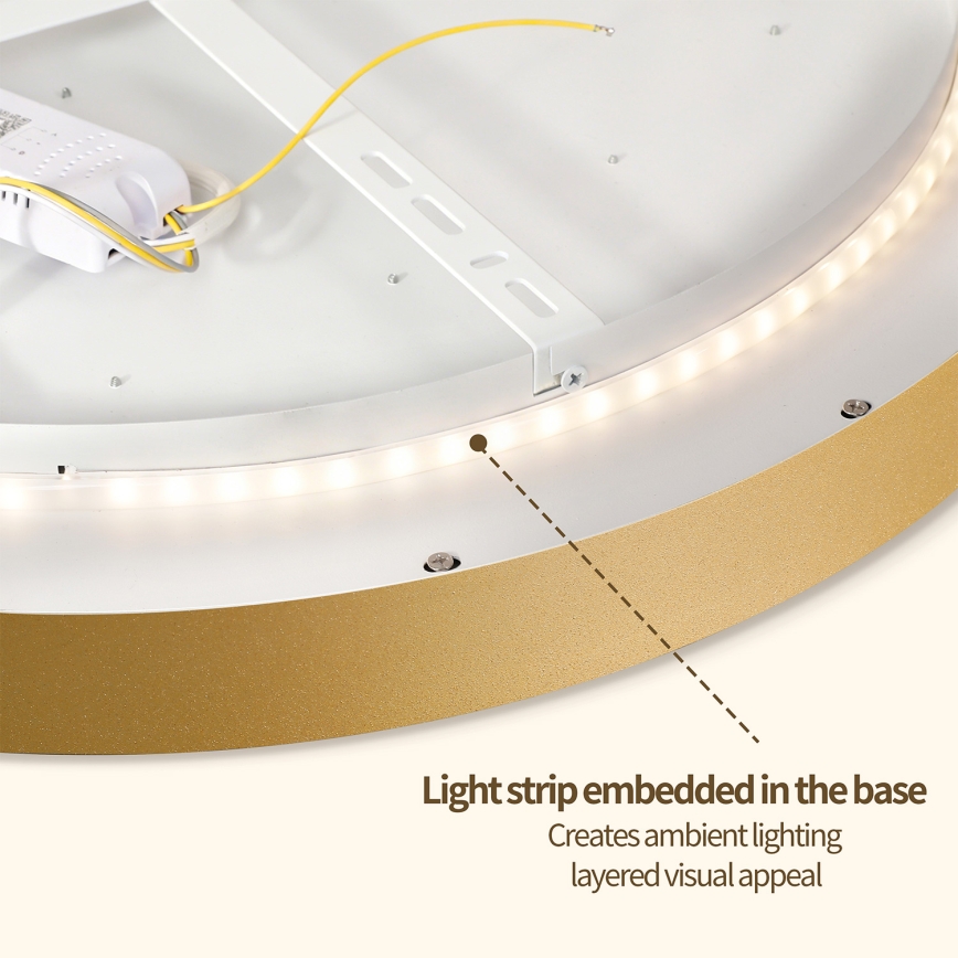 Brilagi - Lámpara de techo LED regulable GLASS POOL DOUBLE LED/48W/230V 3000-6000K 40 cm dorada + mando a distancia