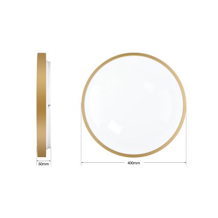 Brilagi - Lámpara de techo LED regulable GLASS POOL DOUBLE LED/48W/230V 3000-6000K 40 cm dorada + mando a distancia