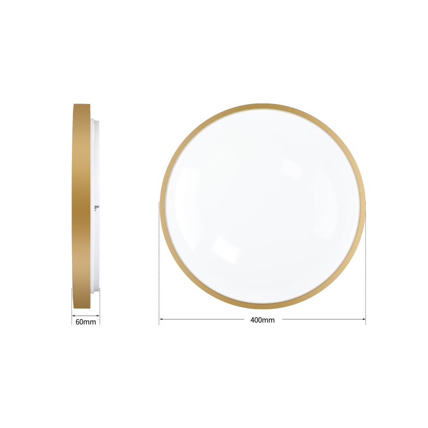 Brilagi - Lámpara de techo LED regulable GLASS POOL DOUBLE LED/48W/230V 3000-6000K 40 cm dorada + mando a distancia