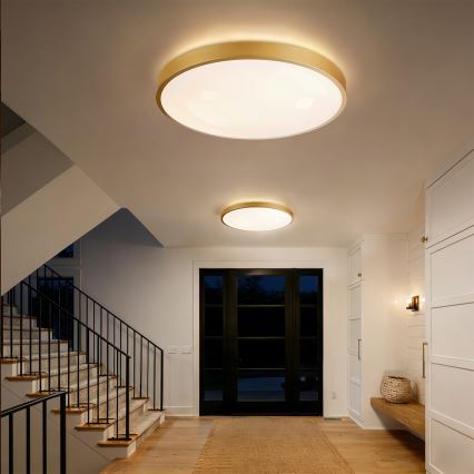 Brilagi - Luminaria de techo LED regulable GLASS POOL DOUBLE LED/80W/230V 3000-6000K 60 cm dorada + mando a distancia