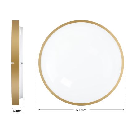 Brilagi - Luminaria de techo LED regulable GLASS POOL DOUBLE LED/80W/230V 3000-6000K 60 cm dorada + mando a distancia