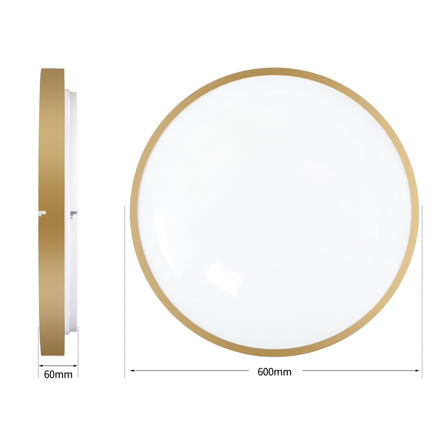 Brilagi - Luminaria de techo LED regulable GLASS POOL DOUBLE LED/80W/230V 3000-6000K 60 cm dorada + mando a distancia