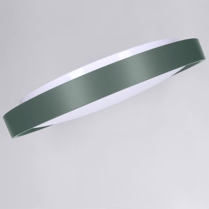 Brilagi - Luminaria de techo LED regulable MATTEO LED/48W/230V 3000-6500K Ø 41 cm verde + mando a distancia