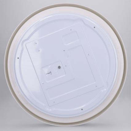 Brilagi - Luminaria de techo LED regulable MATTEO LED/48W/230V 3000-6500K Ø 41 cm verde + mando a distancia