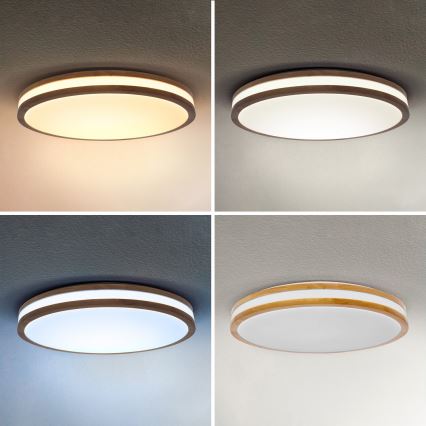 Brilagi - Lámpara de techo LED regulable MOLINA LED/60W/230V 3000-6500K roble diámetro 58 cm + mando a distancia
