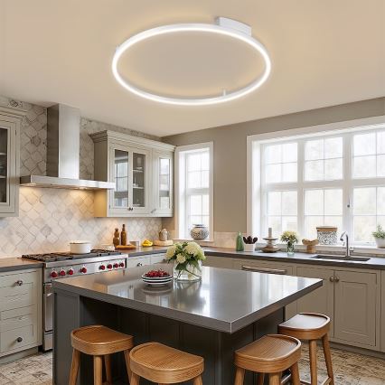 Brilagi - Luminaria de techo LED regulable PORTOFINO LED/60W/230V 3000-6000K Ø 80 cm acabado plateado + mando a distancia