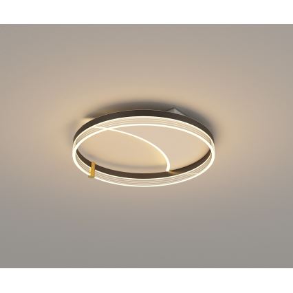 Brilagi - Luminaria de techo LED regulable SIRELI LED/47W/230V 3000-6000K diámetro 40 cm + mando a distancia