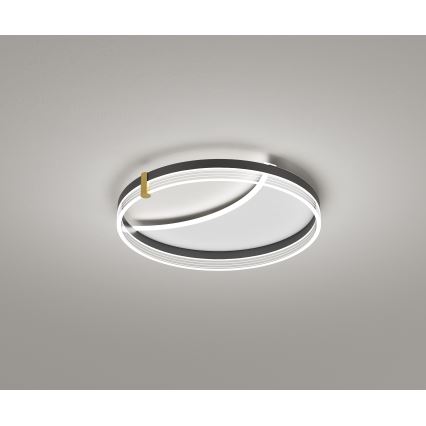 Brilagi - Luminaria de techo LED regulable SIRELI LED/47W/230V 3000-6000K diámetro 40 cm + mando a distancia