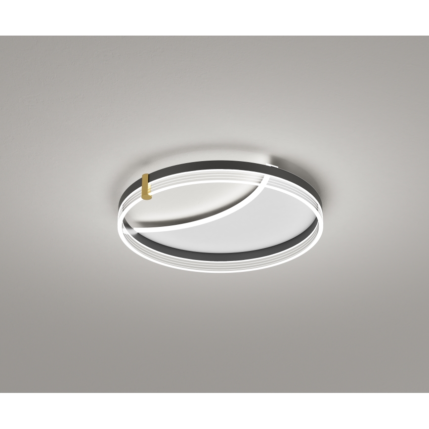 Brilagi - Luminaria de techo LED regulable SIRELI LED/47W/230V 3000-6000K diámetro 40 cm + mando a distancia
