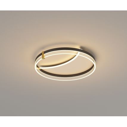 Brilagi - Luminaria de techo LED regulable SIRELI LED/47W/230V 3000-6000K diámetro 40 cm + mando a distancia