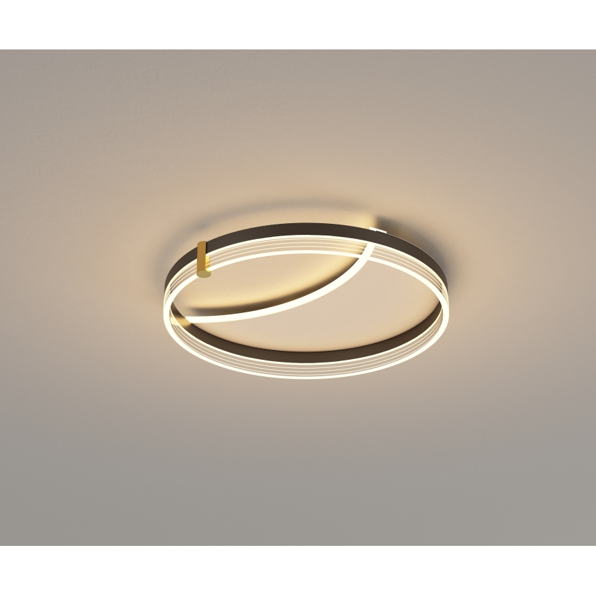 Brilagi - Luminaria de techo LED regulable SIRELI LED/47W/230V 3000-6000K diámetro 40 cm + mando a distancia