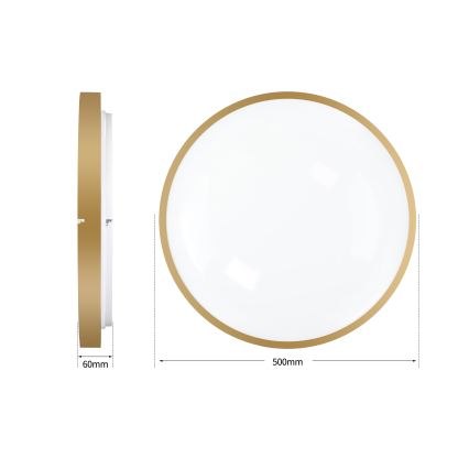 Brilagi - Luminaria de techo LED regulable GLASS POOL DOUBLE LED/60W/230V 3000-6000K 50 cm dorado + mando a distancia