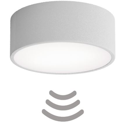 Brilagi - Plafón con sensor CLARE 1xE27/24W/230V diá. 20 cm gris