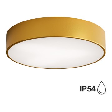 Brilagi - Plafón de baño CLARE 2xE27/24W/230V diá. 40 cm IP54 dorado