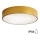 Brilagi - Plafón de baño CLARE 2xE27/24W/230V diá. 40 cm IP54 dorado
