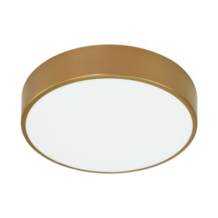 Brilagi - Plafón de baño CLARE 2xE27/24W/230V diá. 40 cm IP54 dorado