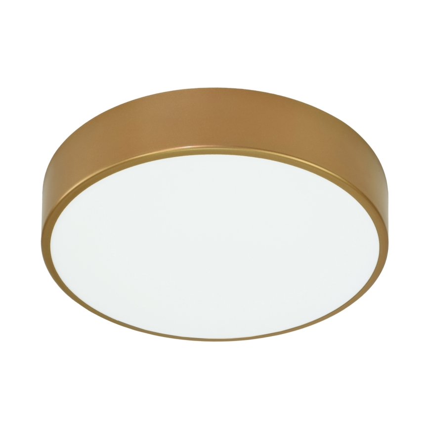 Brilagi - Plafón de baño CLARE 2xE27/24W/230V diá. 40 cm IP54 dorado