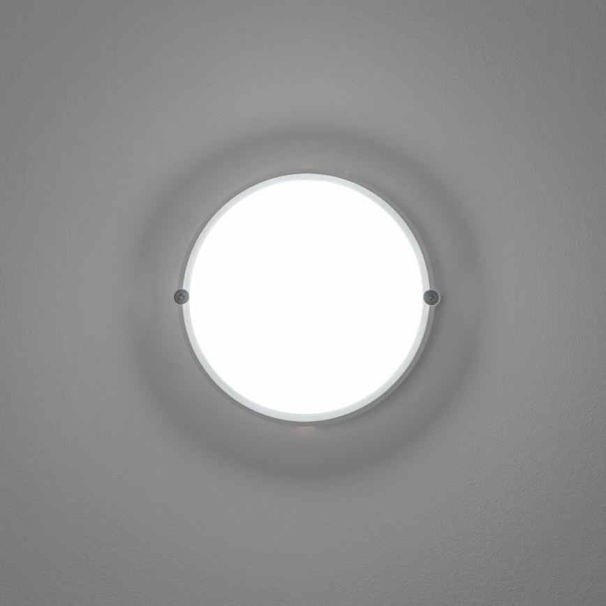 Brilagi - Plafón industrial LED SIMA LED/12W/230V IP65 blanco