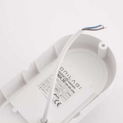 Brilagi - Plafón industrial LED SIMA LED/12W/230V IP65 blanco
