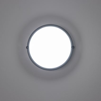 Brilagi - Plafón industrial LED SIMA LED/12W/230V IP65 negro