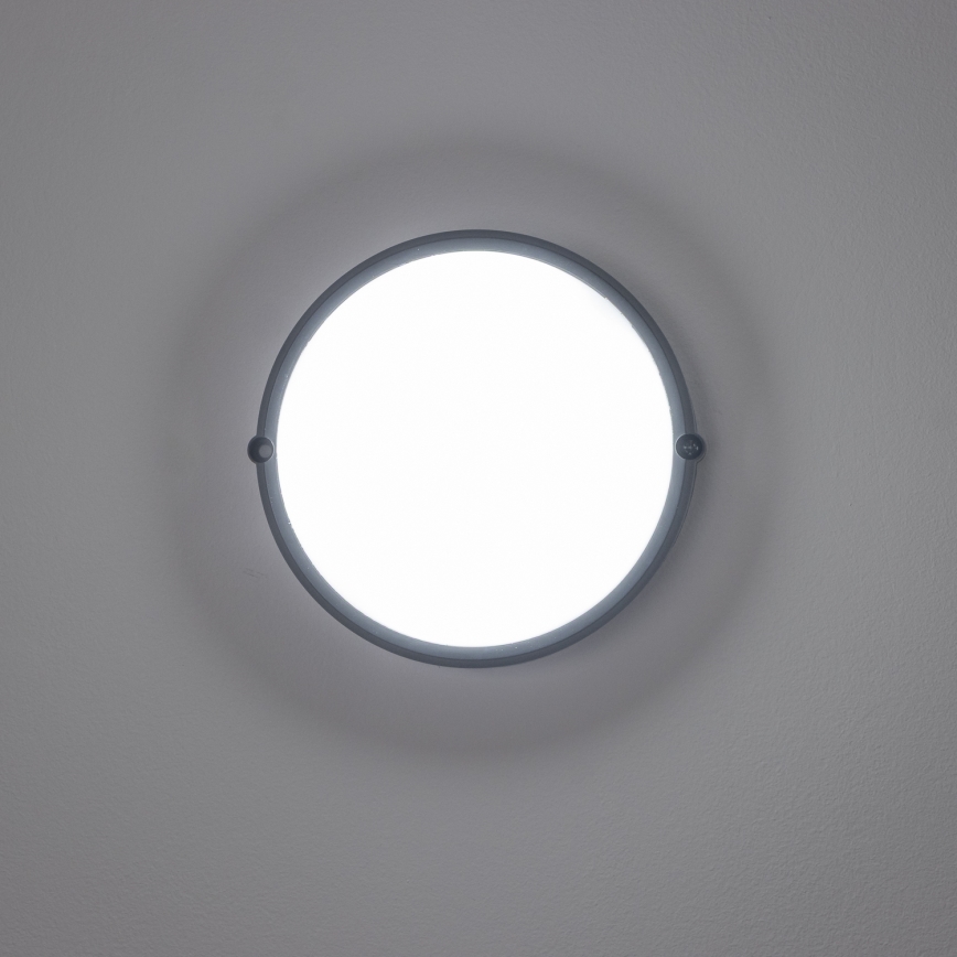 Brilagi - Plafón industrial LED SIMA LED/12W/230V IP65 negro