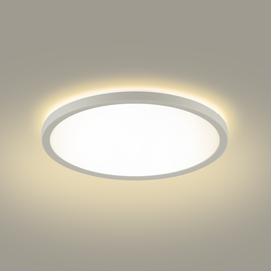 Brilagi - Plafón LED de baño ULTRA SLIM LED/12W/230V diá. 22,5 cm blanco IP54