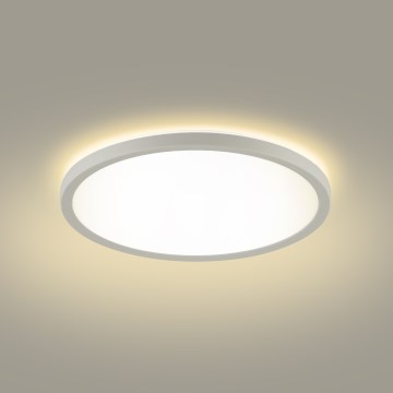 Brilagi - Plafón LED de baño ULTRA SLIM LED/24W/230V 42x42 cm blanco IP54