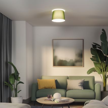 Brilagi - Plafón LED de superficie CERIA 1xE27/40W/230V Ø 30 cm verde