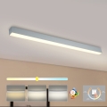 Brilagi - Plafón LED de techo para baño SLEEKLINE LED/40W/230V 3000/4500/6000K plateado IP44