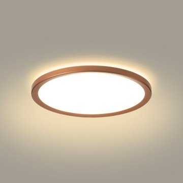 Brilagi - Plafón LED de techo para baño ULTRA SLIM LED/12W/230V Ø22,5 cm oro rosa IP54