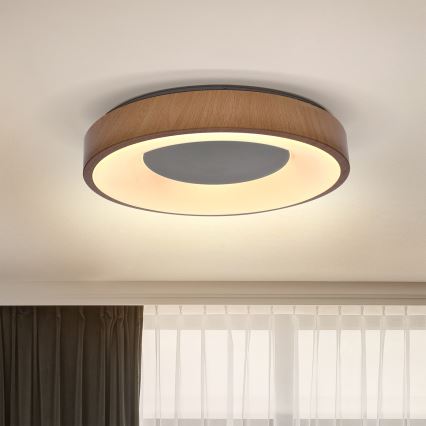 Brilagi - Plafón LED DORIA LED/24W/230V