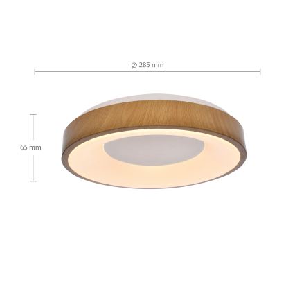Brilagi - Plafón LED DORIA LED/24W/230V