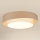 Brilagi - Plafón LED DOVER SHINE LED/26W/230V diá. 60 cm gris/color crema