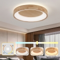 Brilagi - Plafón LED FALCON WOOD LED/40W/230V 3000/4000/6000K Ø 60 cm madera