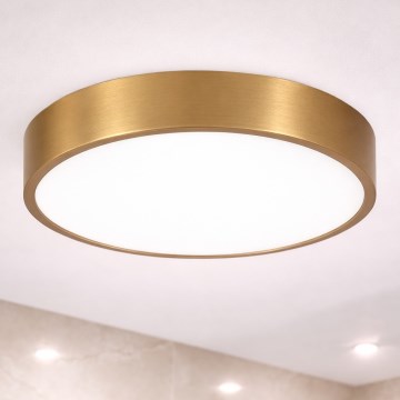 Brilagi - Plafón LED para baño POOL, 36 W, 230 V, 3000/4000/5500K, Ø 40 cm, IP54, bronce