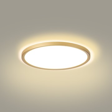 Brilagi - Plafón LED para baño ULTRA SLIM LED/18W/230V Ø 30 cm dorado IP54