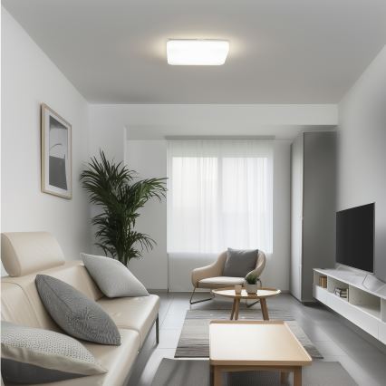 Brilagi - Plafón LED PLAIN LED/24W/230V 3000K
