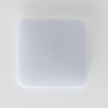 Brilagi - Plafón LED PLAIN LED/24W/230V 3000K